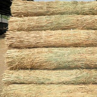 草簾子 ，草包 草繩上海地區(qū)降溫，雨雪天氣注意植物防寒抗凍，