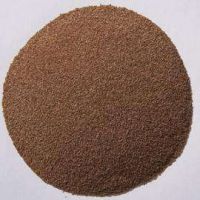 草坪夏季草交播狗牙根，矮生百慕大季節(jié)來臨，提前預(yù)備種子